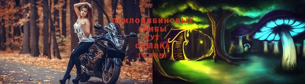 мет Алексин