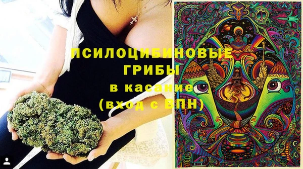 соль курить ск Алзамай