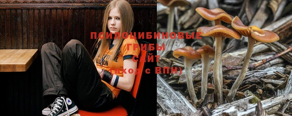 COCAINE Алексеевка