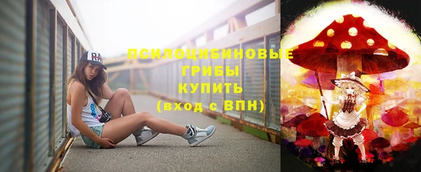 PSILOCYBIN Абаза