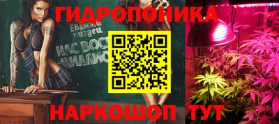 дурь Гай