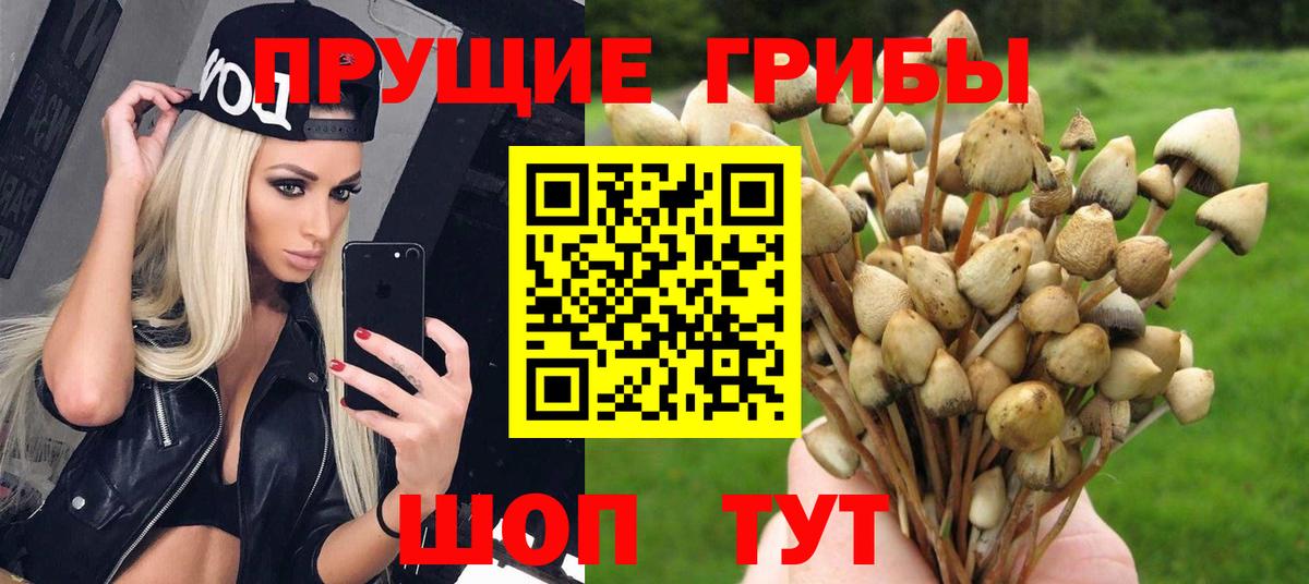 Донецк  Галлюциногенные грибы Magic Shrooms  Вход с VPN 